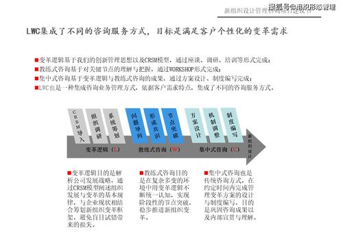 新組織設(shè)計管理咨詢項目策劃與公關(guān)服務建議書
